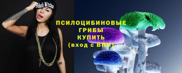 молекула духа Костерёво
